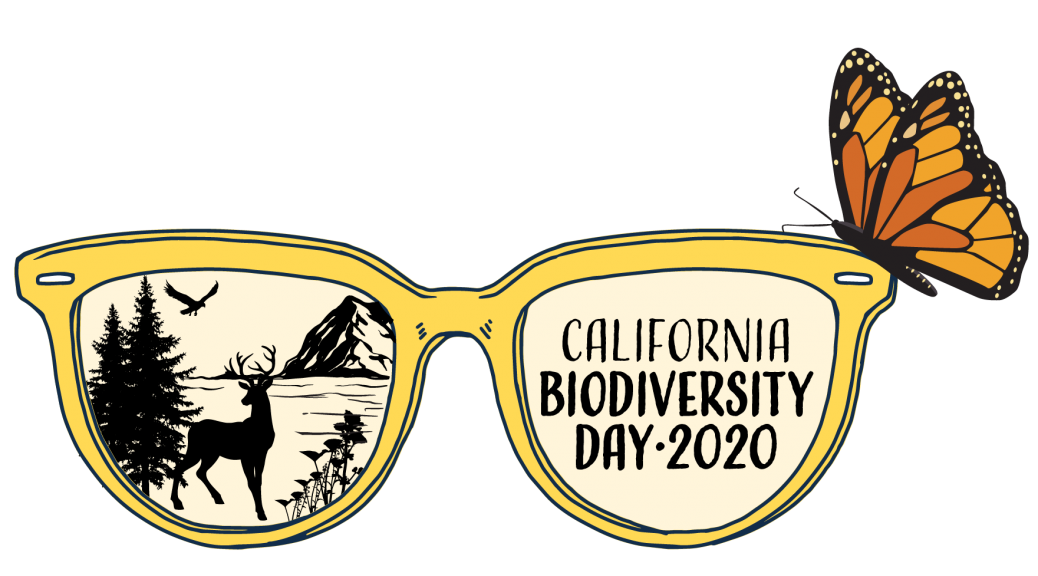 Logo for California Biodiversity Day 2020 features sunglasses with butterfly perched on frames